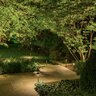 Black Diamond Pathlight, Black w/ G4 ECOSTAR 3W 2700K Lamp; includes Ground Stake