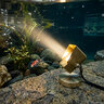 Brilliance Angler MiniBeam 200 Lumen 2700K 3W 36 Degree Brass assembled with 90/200 Brass Shield SS Stake and Weighted Brass Base
