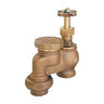 Buckner Anti-Siphon Valve w/ Union 3/4 in. Npt