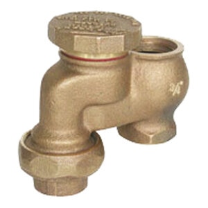 Buckner Anti-Siphon Body Red Brass 3/4 in. FIPT with Union Valves