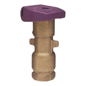 Buckner Quick Coupling Valve 1 in. ACME Inlet Single Slot with Reclaimed Purple Locking Cover