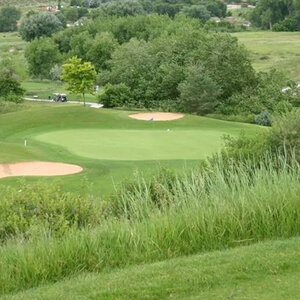 Low Grow Seed Mix (5# Bag)