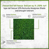 Fescue Sod Tall Fescue (per sq. ft.)