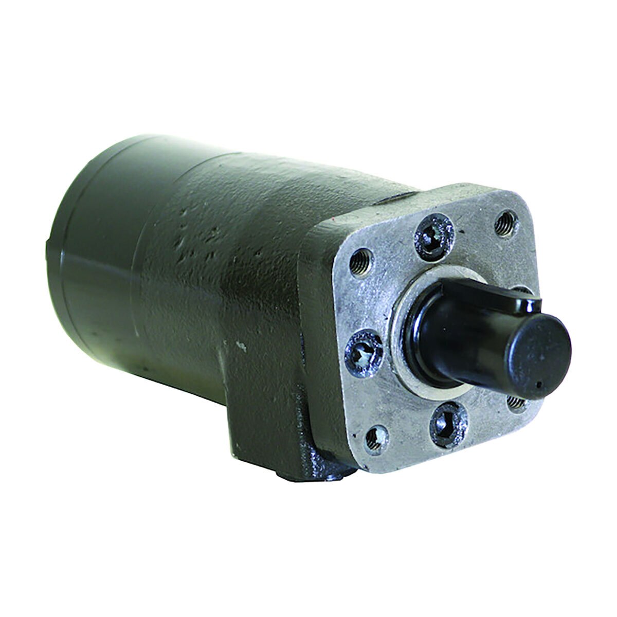 Buyers Products Hydraulic Motor With 4-Bolt Mount/NPT Threads and 17.9 ...