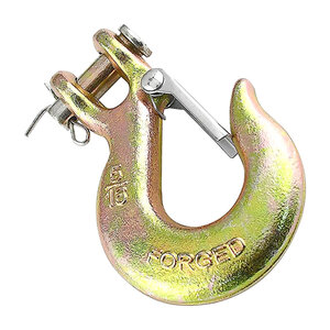 Brophy Clevis Slip Hook w/ Latch Grade 70 5/16 in.
