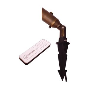 Cast IR Remote Multi Lumen Spotlight LED 36 Degree