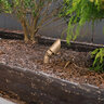 Cast Up Light Bronze Construction Bronze LED