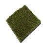 CST Go Green Heat Shield Synthetic Turf Nylon 65 oz. Face Weight 1.62 in. Line Green/Olive Blades