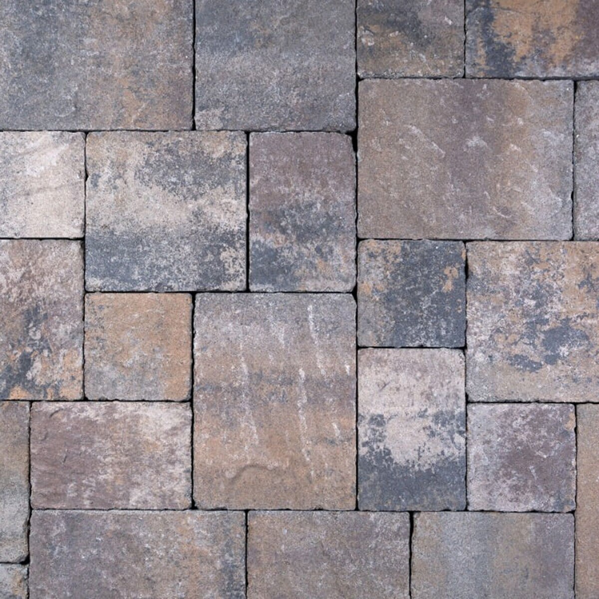 Calstone Quarry Stone Paver Oak Barrel Gray 9 in. x 9 in. (98 sq. ft