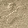 Cambridge Ledgestone LG Drive Paver Sandstone Blend 6-1/2 in. x 13 in. x 3-1/8 in. (99 sq. ft./pallet)
