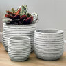 Campania Planter Etage Lg Gray & Whitewash 12 in. x 12 in. x 10-1/4 in.