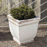 Campania Planter Square Rolled Rim Sm Antique White 8-3/4 in. x 8-3/4 in. x 12 in.