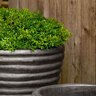 Campania Planter Round Ruffle Lg Graphite 20 in. x 20 in. x 23 in.