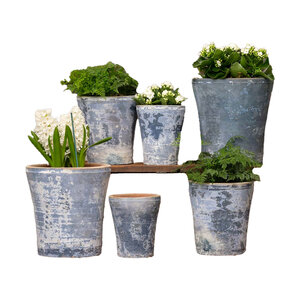 Pietro Planter Vicolo Mare Medium 7-3/4 in. x 8-1/4 in.