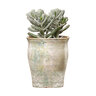 Taormina Planter Vicolo Terra Large 6-1/2 in. x 8 in.