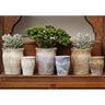 Taormina Planter Vicolo Sabbia Small 4-1/2 in. x 5-1/2 in.