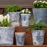 Pietro Planter Vicolo Mare Medium 7-3/4 in. x 8-1/4 in.