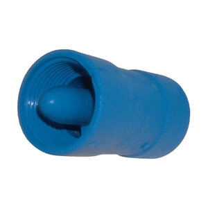 PVC T x T Check Valve 1 in.