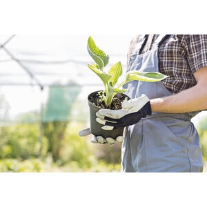 Vital Earth Root Activator 55 Gallon Drum