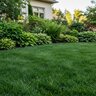 Vital Earth 0-3-0 Rock Phosphate 20 lb.
