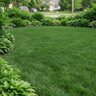 Vital Earth 21-7-12 Topdress 50 lb.
