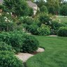 Vital Earth Rock Phosphate 40 lbs.