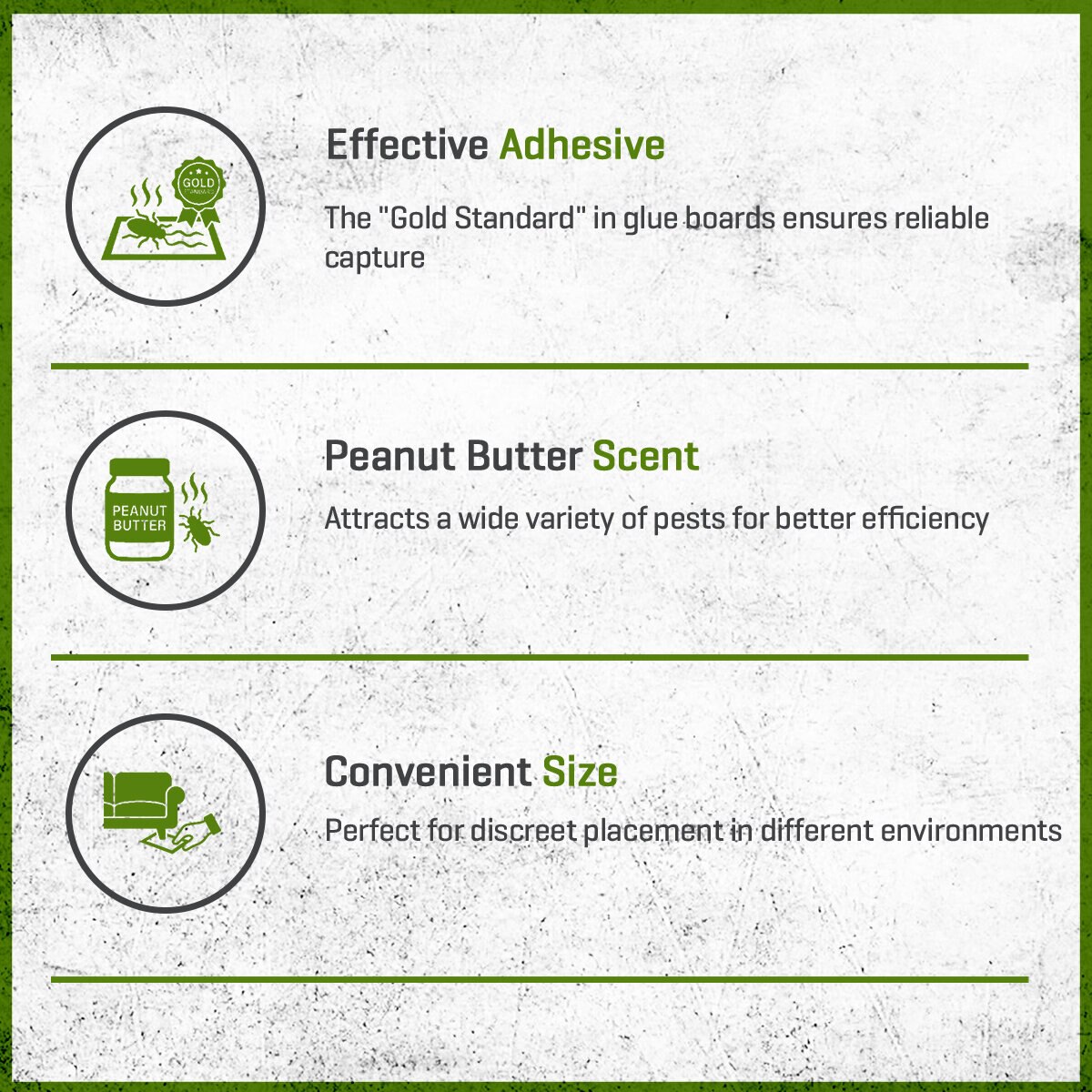 Catchmaster Multi-Catch Peanut Butter Mouse & Insect Glue Boards 72 ...