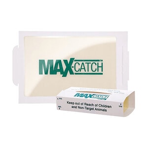 Catchmaster 72MAX Econo Peanut Butter Mouse & Insect Glue Boards 72 Count Box