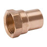 Adapter Wrot Copper C x M 1-1/4 in.