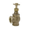 Champion Angle Valve with Union Yellow Brass 2 in. FIPT Rising Swivel