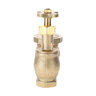 1 Anti-Siphon Valve Less Union Brass Champio