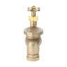 1 Anti-Siphon Valve Less Union Brass Champio