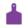 Standard purple id tag one sided