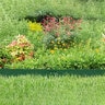 Colmet Steel Landscape Edging Green 14 Gauge 1/16 in. x 4 in. x 10 ft.