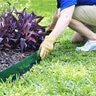 Colmet Steel Landscape Edging Green 14 Gauge 1/16 in. x 4 in. x 10 ft.