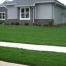 Fescue Sod Rhizomatous Tall Fescue (per sq. ft.)