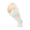 Corona Spot Light White
