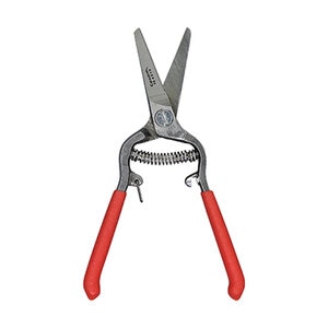 Houseplant Shear Cor