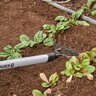 Corona ComfortGEL Extended Reach 7-Tine Rake
