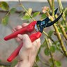 Corona Bypass Pruner w/ Comfort Gel Grip 3/4 in. cut