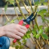 Corona Bypass Pruner w/ Comfort Gel Grip 3/4 in. cut