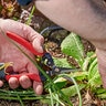 Corona Red 1 3/4 in. Tempered Steel Long Straight Snips