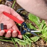 Corona Red 1 3/4 in. Tempered Steel Long Straight Snips