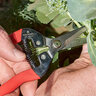 Corona Red 1 3/4 in. Tempered Steel Long Straight Snips