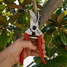 Corona Max Aluminium 1 in. Bypass Pruner