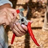 Corona Red Carbide Sharpening Tool