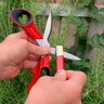 Corona Red Carbide Sharpening Tool
