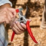 Corona Max Aluminium 1 in. Bypass Pruner Bonus Pack (BP 6250, AC 4510 and AC 8300)