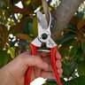 Corona Max Aluminium 1 in. Bypass Pruner Bonus Pack (BP 6250, AC 4510 and AC 8300)