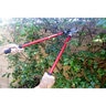 Corona Lopper and Pruner Bonus Pack